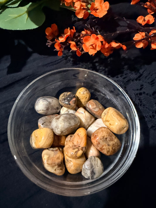 Crazy Lace Agate Tumbled stone