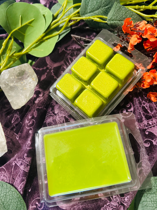 Witches Farts Wax Melts