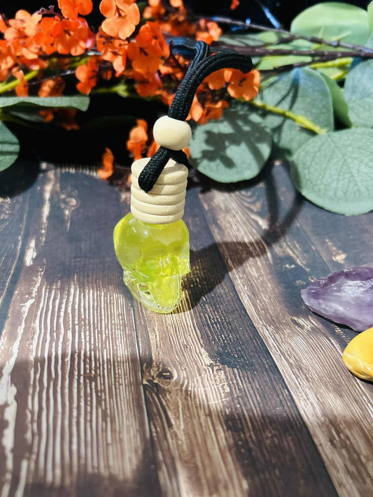 Illusion Skull Car Diffuser
