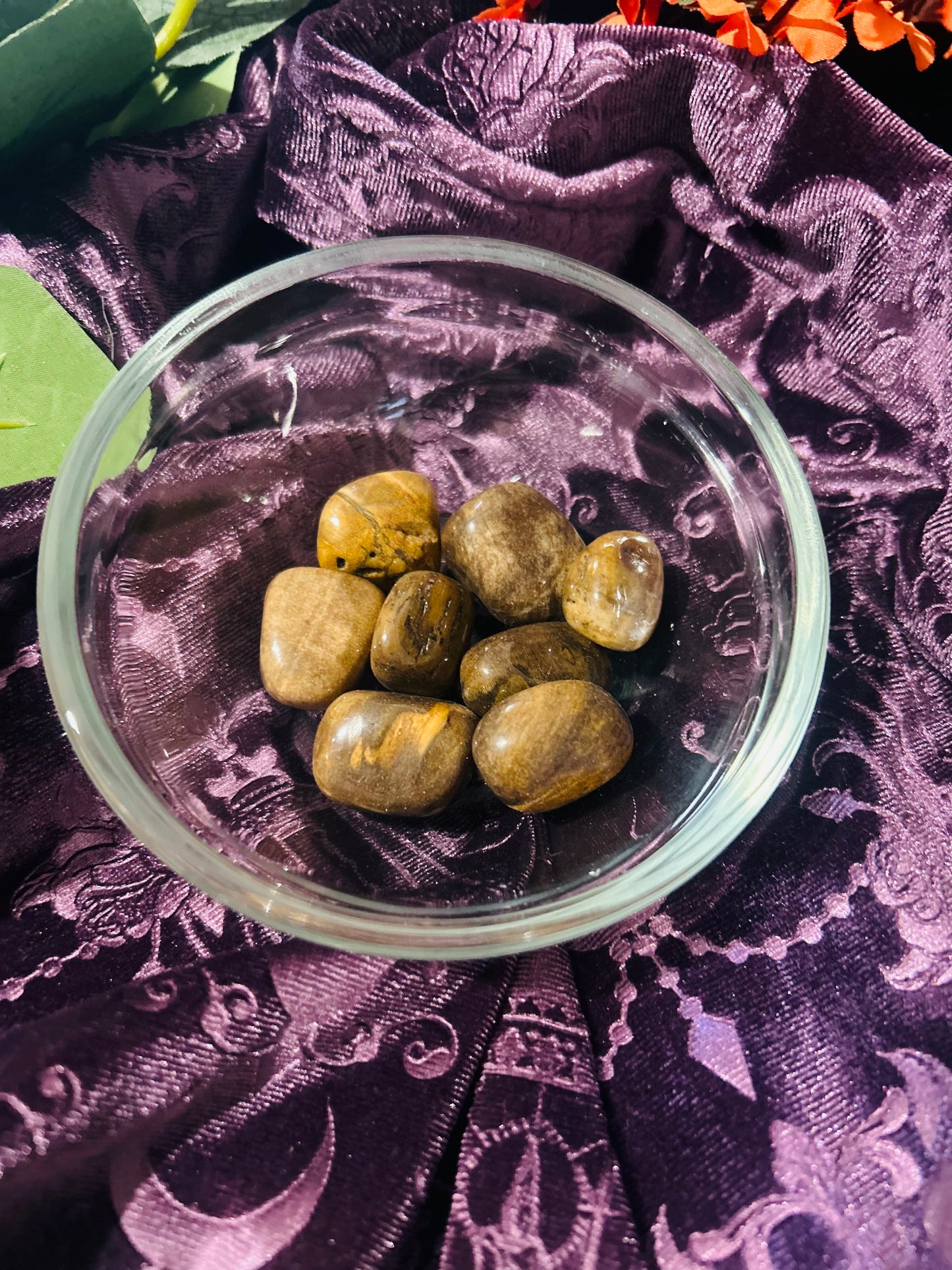 Petrified Wood Tumbled Stone