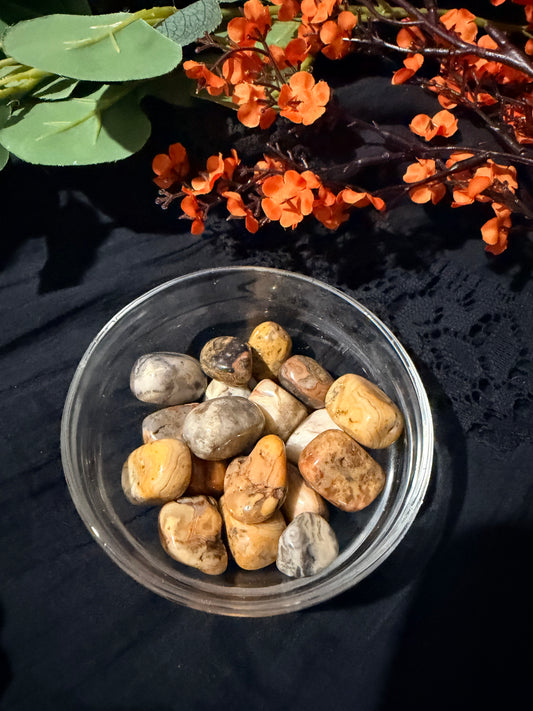 Crazy Lace Agate Tumbled stone